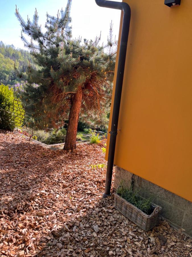 Kleines Harz-Chalet Neuwerk  Εξωτερικό φωτογραφία