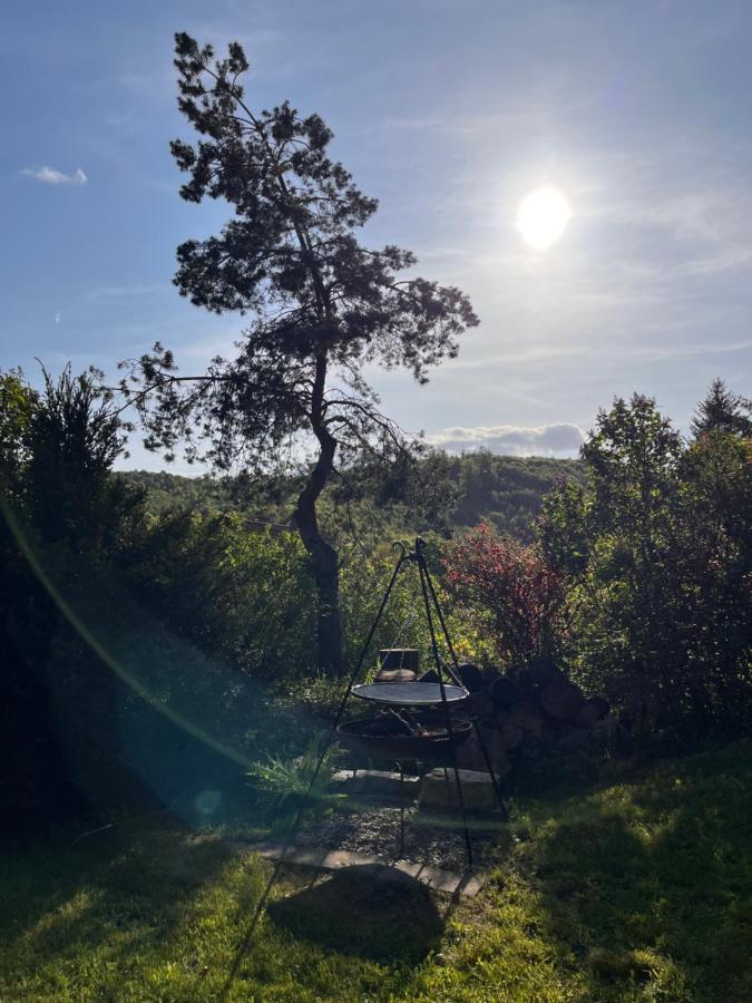 Kleines Harz-Chalet Neuwerk  Εξωτερικό φωτογραφία